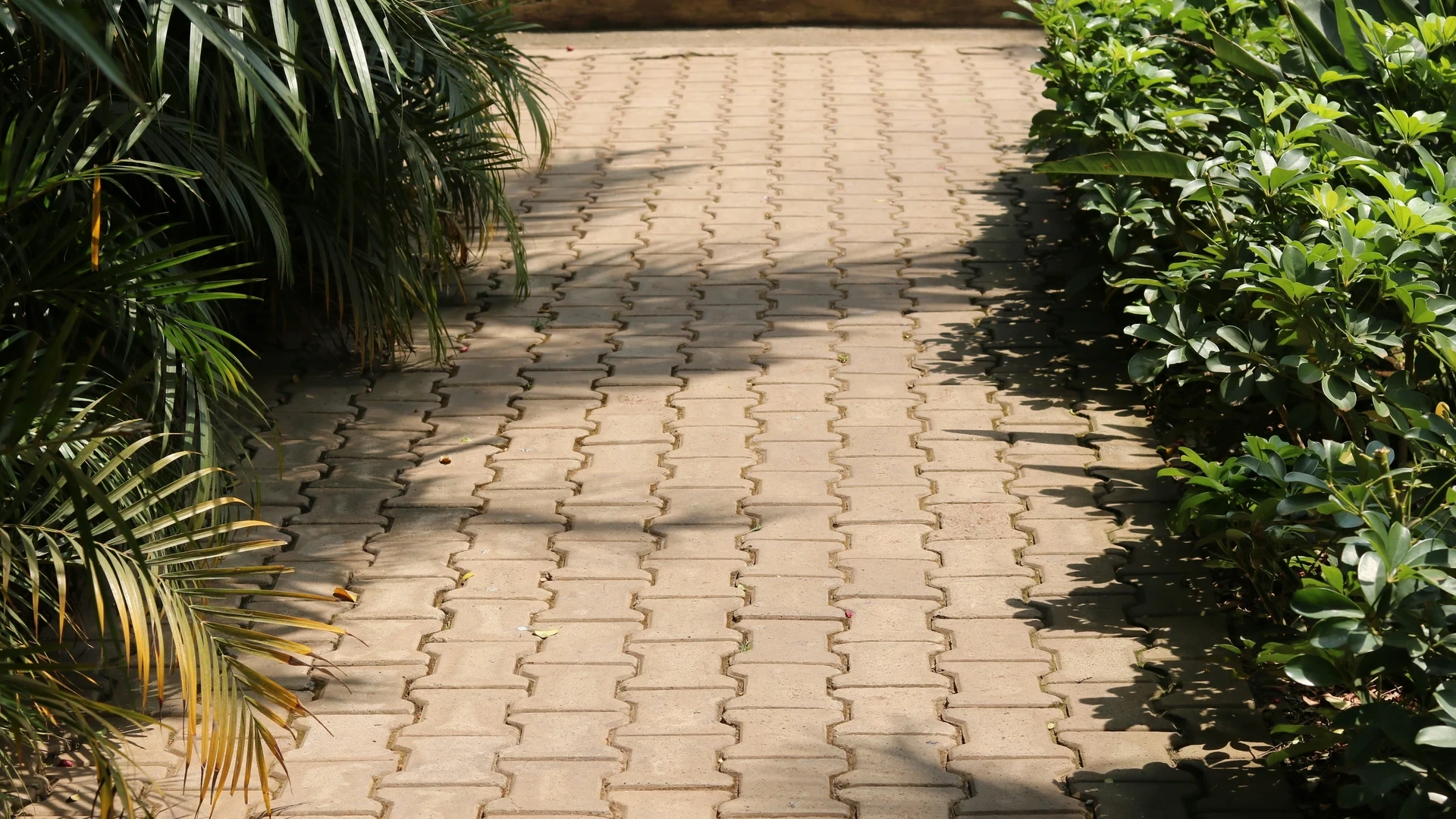 Pflasterarbeiten im Garten: Wege, Terrassen & Einfahrten richtig gestalten